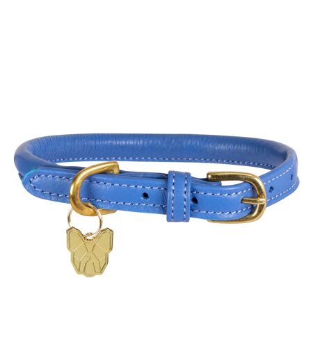 Rolled leather buckle dog collar xxl neckline: 65cm-70cm royal blue Digby & Fox