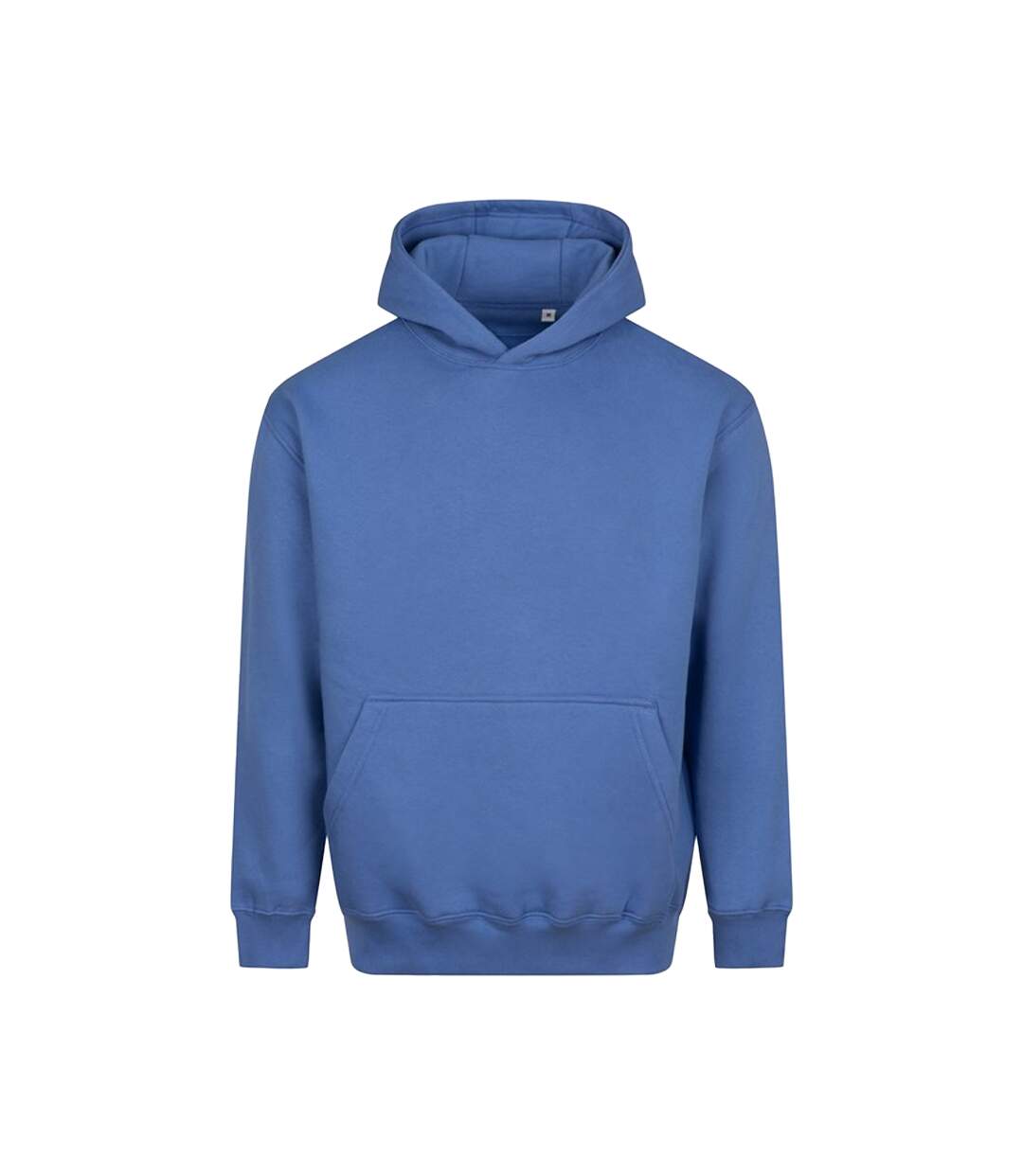 Sweat À Capuche Vision Homme Bleu Vif Awdis-1
