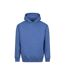 Sweat À Capuche Vision Homme Bleu Vif Awdis-1