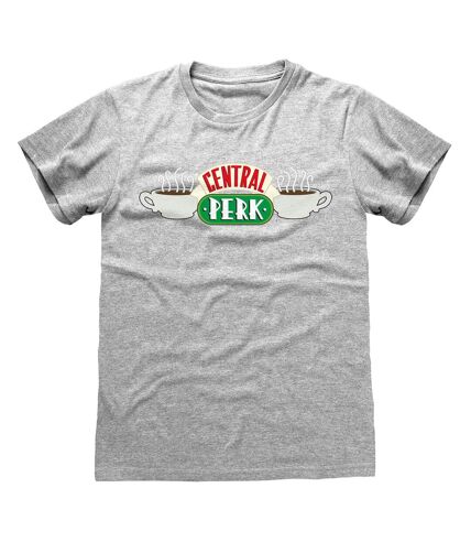 Friends Unisex Adult Central Perk T-Shirt (Heather Grey) - UTHE382