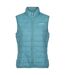 Regatta Womens/Ladies Hillpack Insulated Body Warmer (Bristol Blue) - UTRG6523