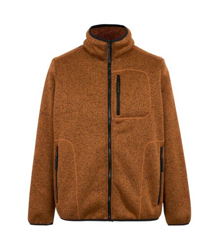 Veste Polaire Barlee Homme Marron Regatta