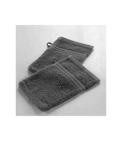 Lot de 2 Gants de Toilette Excellence 15x21cm Gris Ardoise