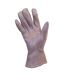 Handy Glove Womens/Ladies Touchscreen Gloves (Beige) - UTUT1566