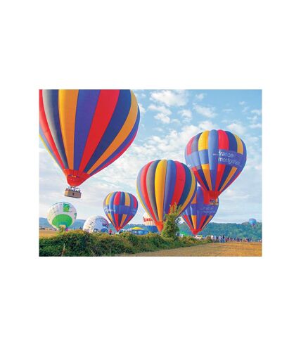 Vol en montgolfière au-dessus du château de Fontainebleau en semaine - SMARTBOX - Coffret Cadeau Sport & Aventure
