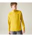 Mens Fuse Up Ii Midlayer Mango Mint Dare 2B-1