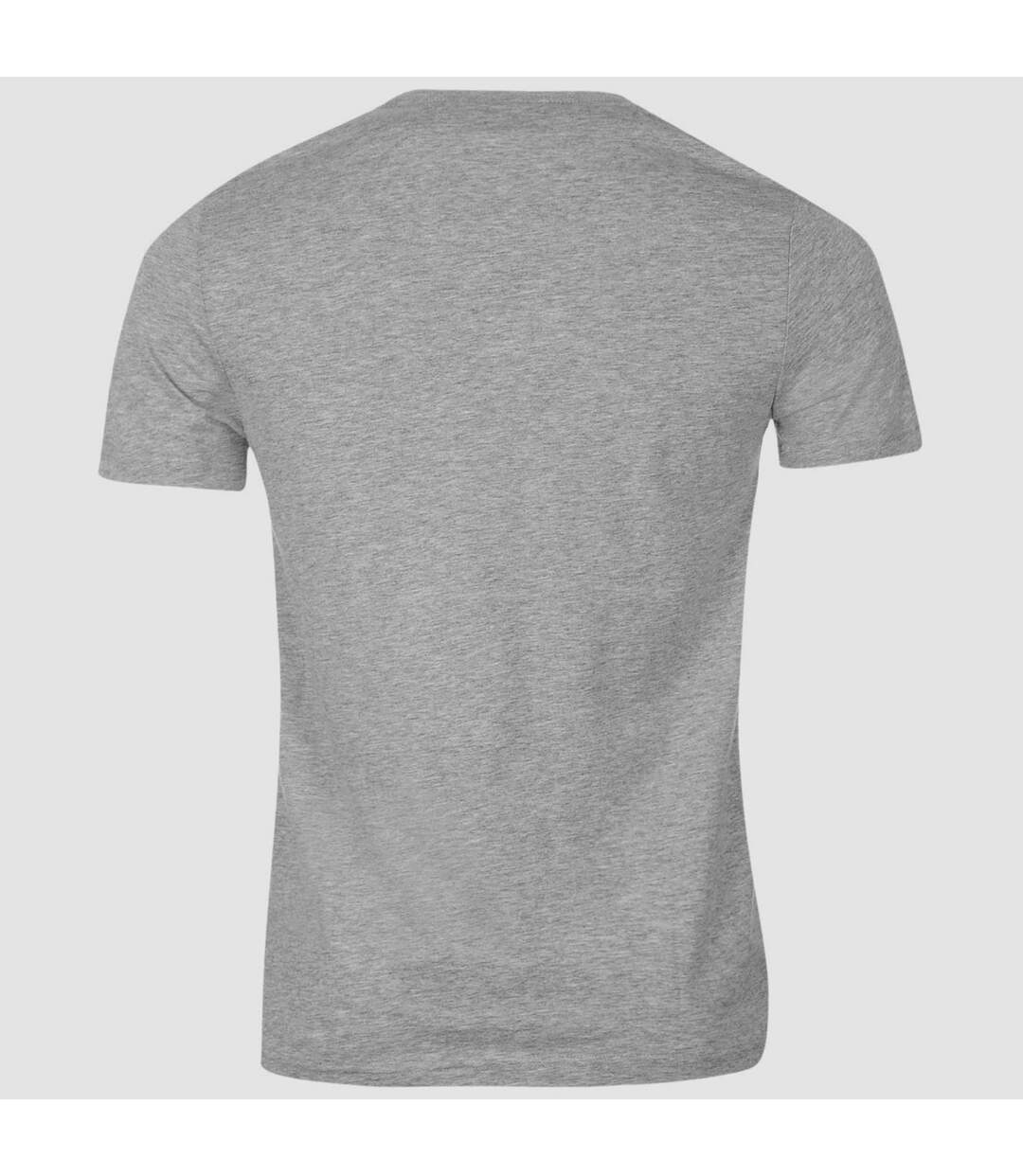 T-shirt homme gris / rouge / blanc Canterbury