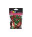 Lot de Sequins Noël Houx & Sapins 40g Rouge & Vert-2