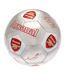 Arsenal FC Printed Players Signatures Signed Soccer Ball (Silver) (One Size) - UTTA5701