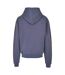 Sweat À Capuche Flying High Homme Vieux Bleu Mister Tee-3