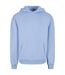 Sweat À Capuche Adulte Bleu Poudre Build Your Brand-1