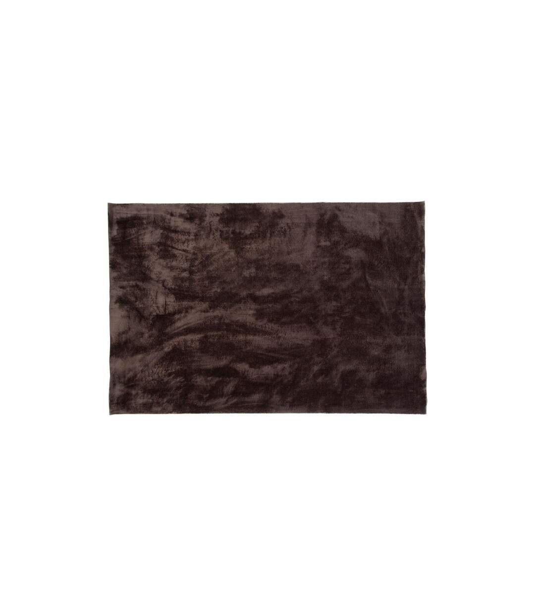 Tapis Déco Blanca 200x300cm Marron-1