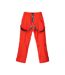 Pantalon De Ski Nala Homme Tomate Cerise Nuit Polaire Iguana-2