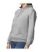 Sweat à capuche softstyle adulte gris Gildan