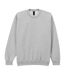 Unisex Adult Softstyle Fleece Midweight Sweatshirt Ash Grey Gildan-1