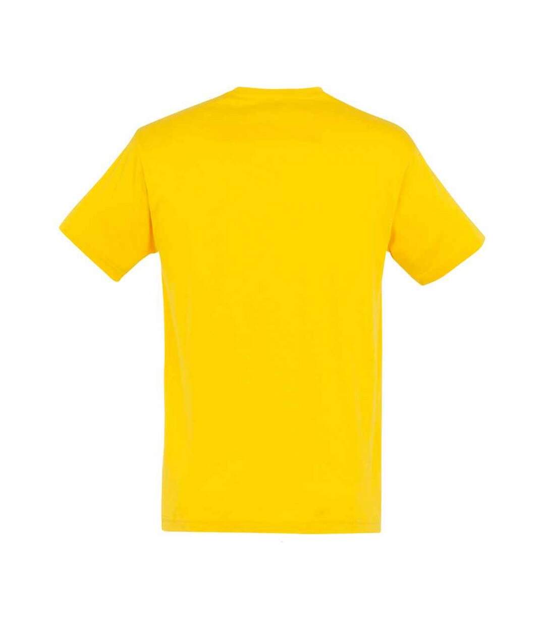 Unisex Adult Regent T-shirt Gold SOLS-2