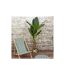 Plante Artificielle XXL Bananier 160cm Vert-5