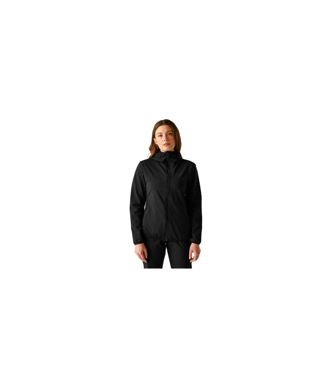 Veste Softshell Iced Femme Noir Dare 2B-1