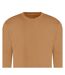 Sweat Adulte Marron Clair Awdis-2