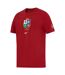 T-shirt Motif/style British & Irish Lions Homme Rouge Blanc Nike-3