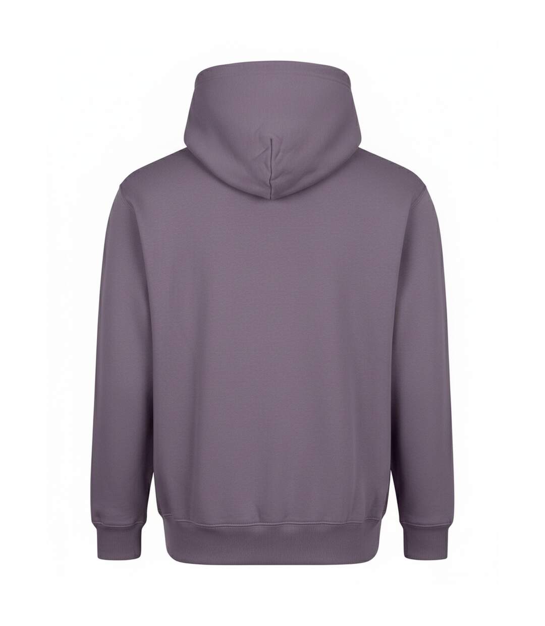 Sweat À Capuche Vision Homme Vieux Lilas Awdis-2