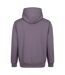 Sweat À Capuche Vision Homme Vieux Lilas Awdis-2