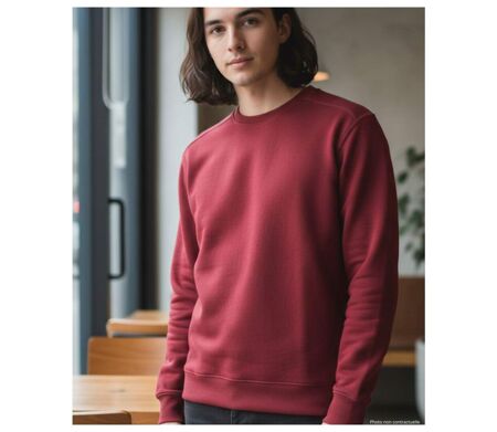 Sweat uni ras cou E213