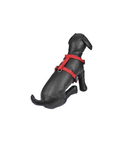 Harnais pour Chien Essentiel 70cm Rouge