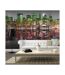 Papier Peint American Reggae 270x450cm-1