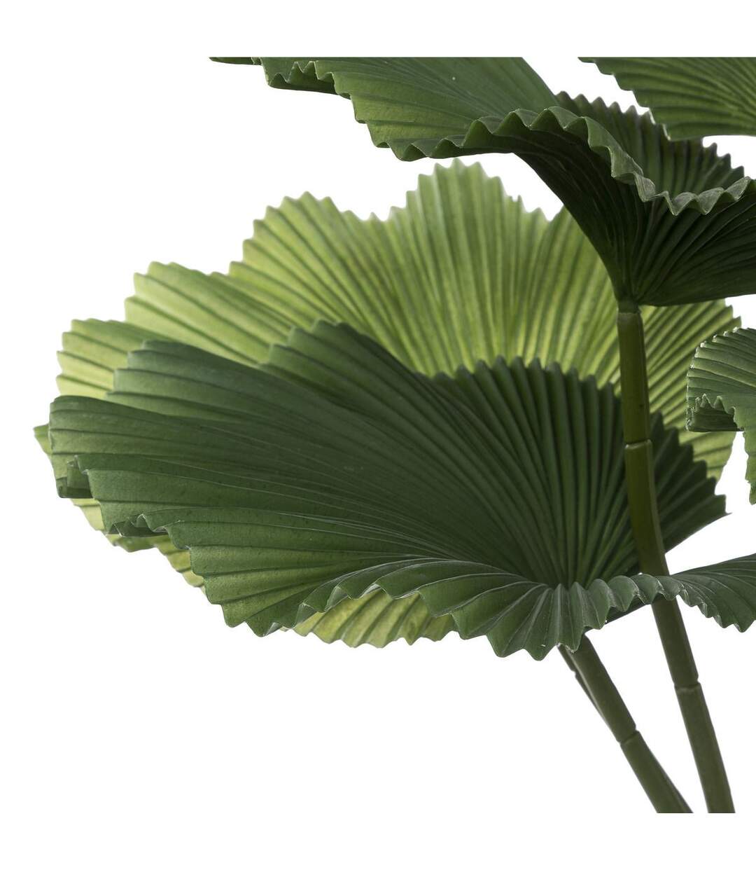 Plante Artificielle Déco Palmier 65cm Vert & Noir-2