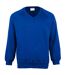 Maddins Mens Colorsure V-Neck Sweatshirt (Royal)