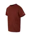 T-shirt Fingal Edition Homme Orange Sanguine Regatta-3