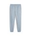Jogging bleu homme puma 624731 - l-1
