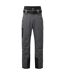 Dare 2B Mens Absolute II Ski Trousers (Ebony Grey/Black) - UTRG5466
