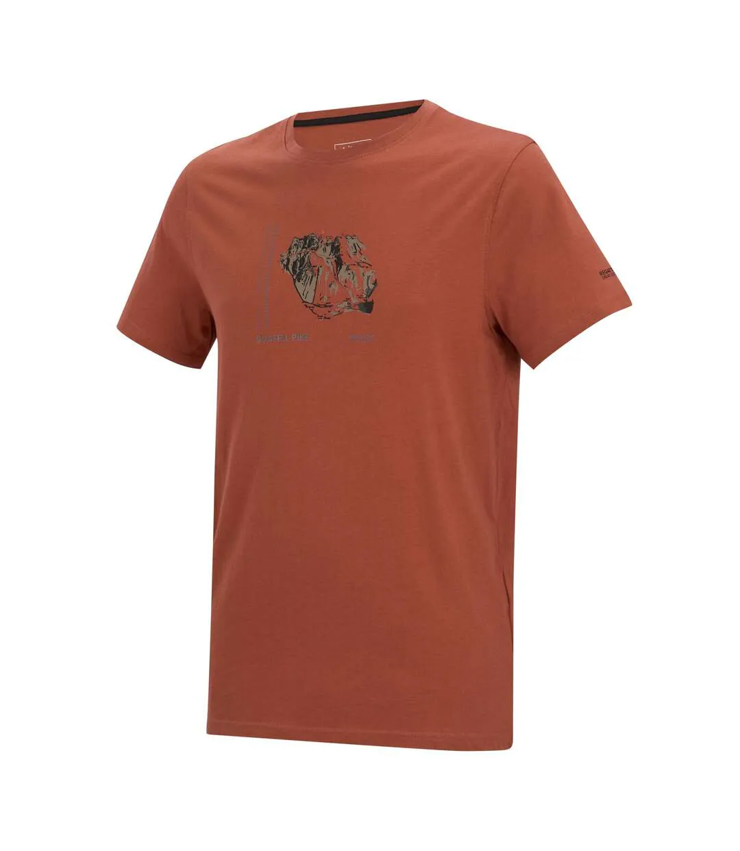 Mens Breezed Mountain Flow T-shirt Brick Regatta-4