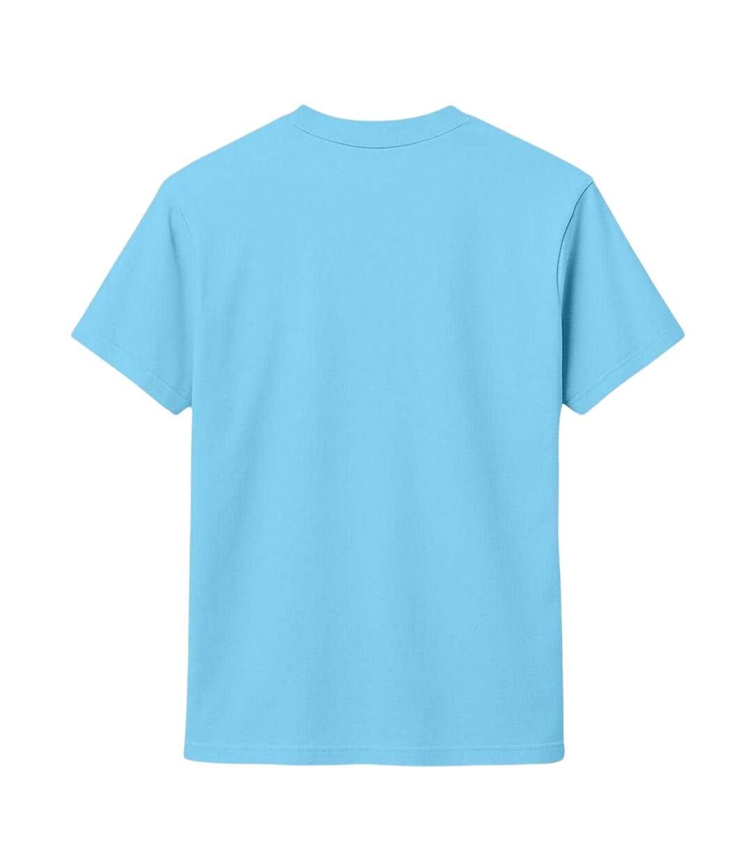 Mens Cali Crew Neck T-shirt Sky Blue Republic Of California-3