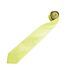 Cravate Unie Homme Taille Unique Vert Citron Premier-2