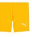 Mens Liga Short Tights Sun Stream Puma-3
