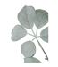 Branche Artificielle Floquée Schefflera 120cm Vert-2
