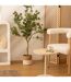 Plante Artificielle Eucalyptus Cony 127cm Vert-3