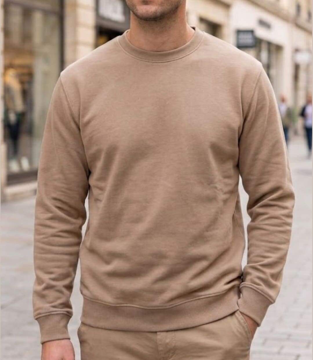 CHALLENGER E213 — Sweat col rond beige : le confort ultra-résistant-1