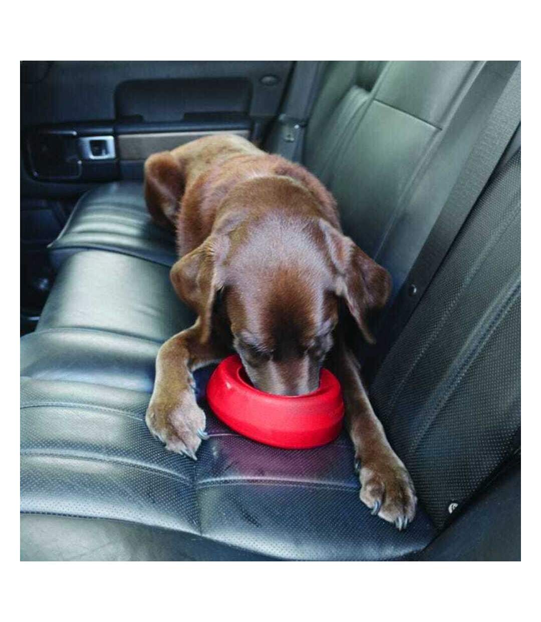 Splash free dog bowl 710ml chilli red Kurgo-3