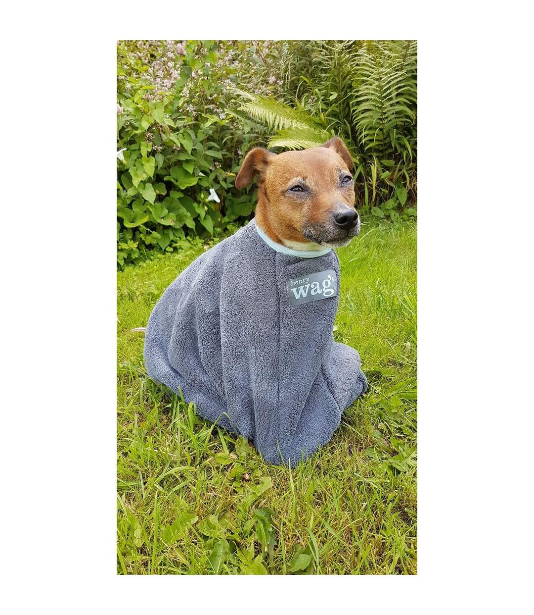 Dog drying coat large grey Henry Wag-4