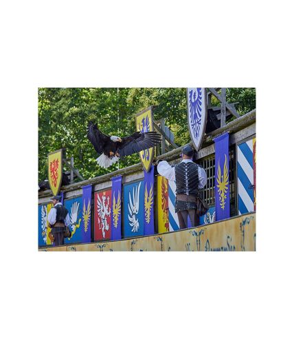 Billets Puy du Fou 2025 - 2 jours pour 2 adultes et 2 enfants - SMARTBOX - Coffret Cadeau Multi-thèmes