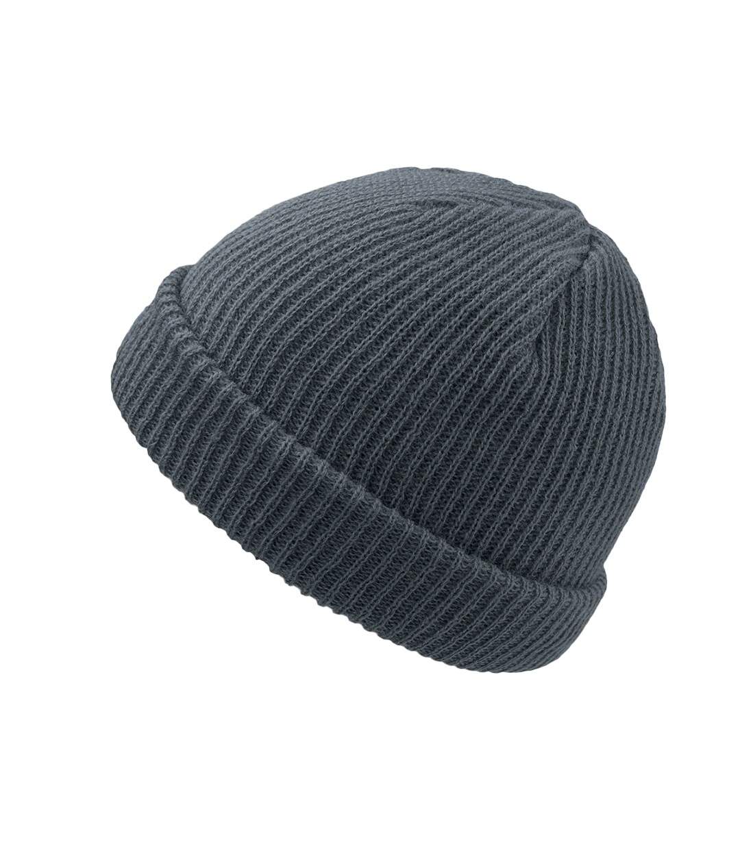 Atlantis Skate Beanie (Gray) - UTAB479-1