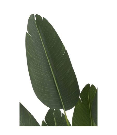 Plante Artificielle en Pot Strelitzia 165cm Vert