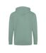 Veste À Capuche Homme Vieux Vert Awdis-2