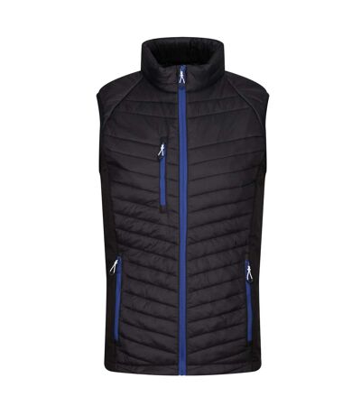 Mens Navigate Quilted Hybrid Gilet Black New Royal Regatta