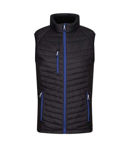 Mens Navigate Quilted Hybrid Gilet Black New Royal Regatta