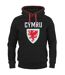 Mens Graphic Fleece Hoodie Black FA Wales-3